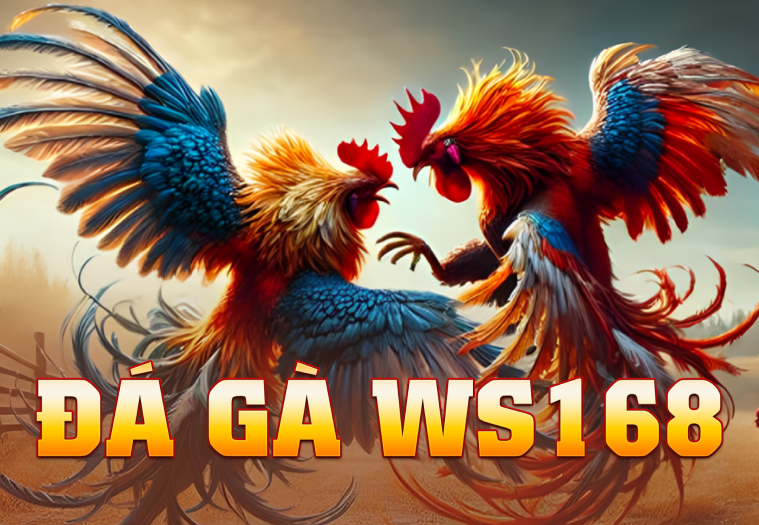 Đá Gà WS168 lobby