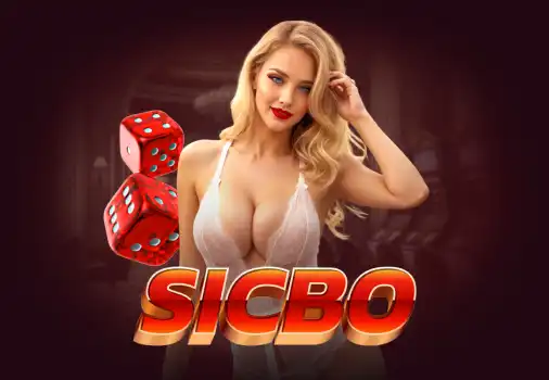 Sicbo 532